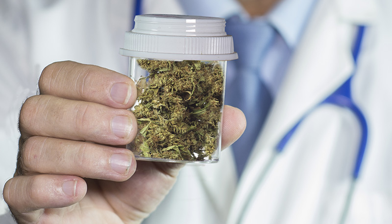 Anvisa vai criar regras para cultivo de maconha medicinal